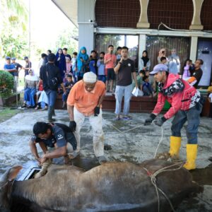 Idul Adha 1447 H Membawa Harapan, Dukungan Pertamina Patra Niaga Kilang Cilacap Menguatkan Peternak Lokal Cilacap