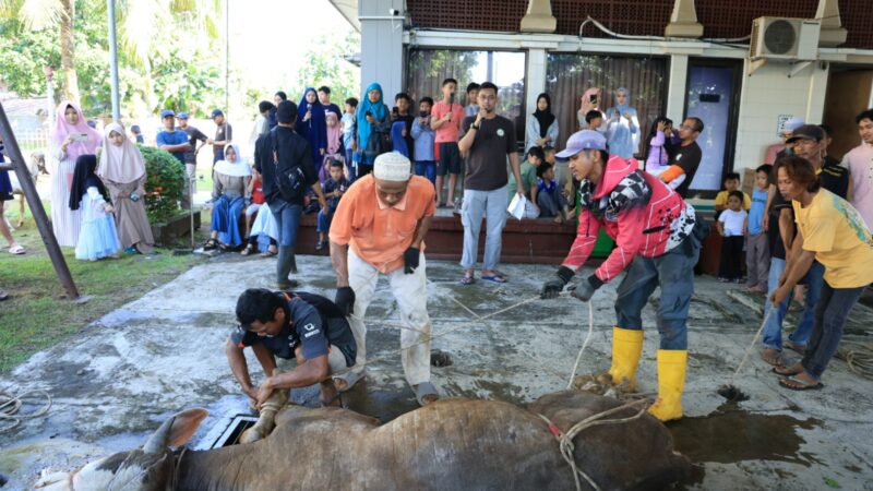 Idul Adha 1447 H Membawa Harapan, Dukungan Pertamina Patra Niaga Kilang Cilacap Menguatkan Peternak Lokal Cilacap